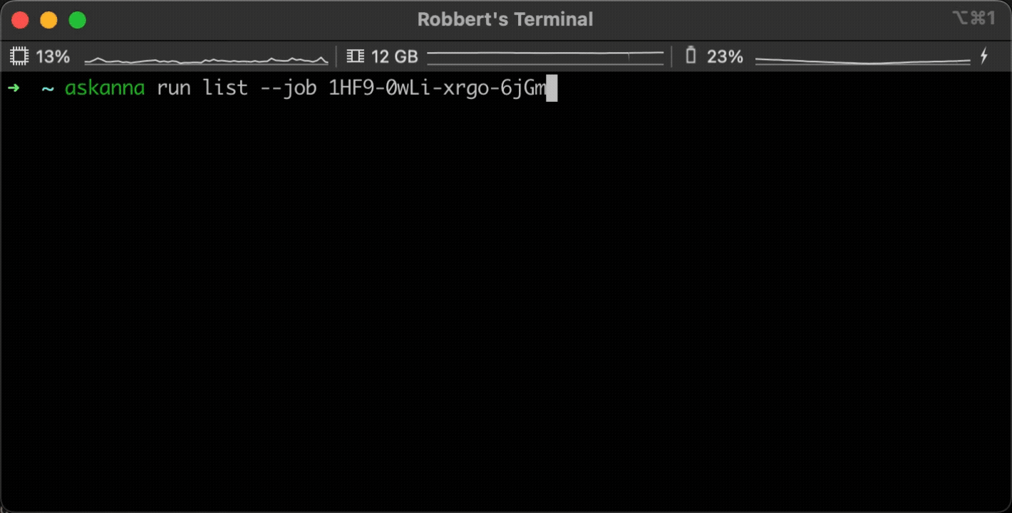 AskAnna CLI demo of run commands