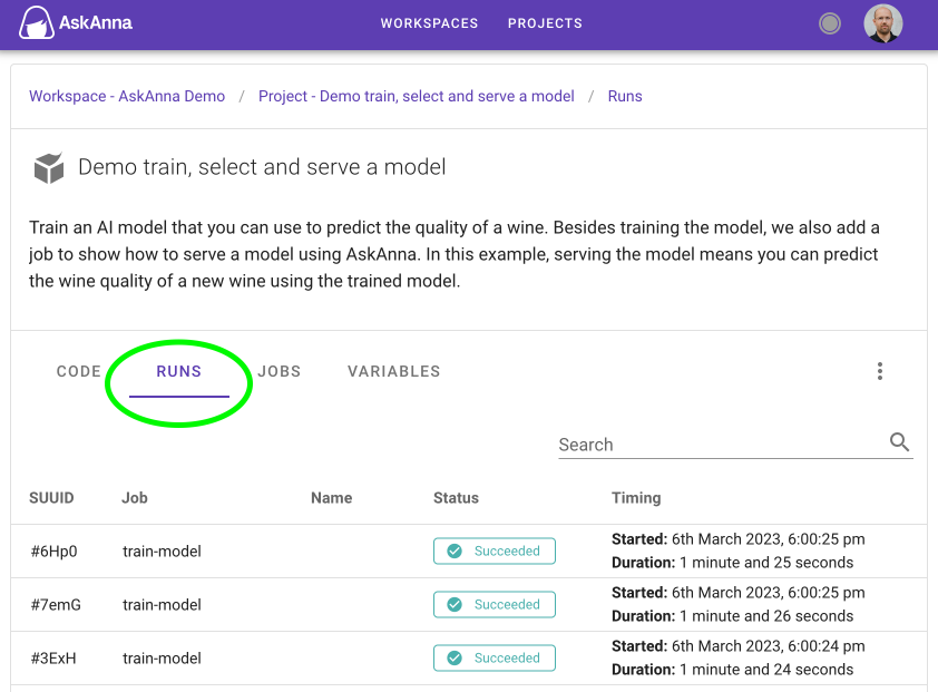 Runs at an AskAnna project